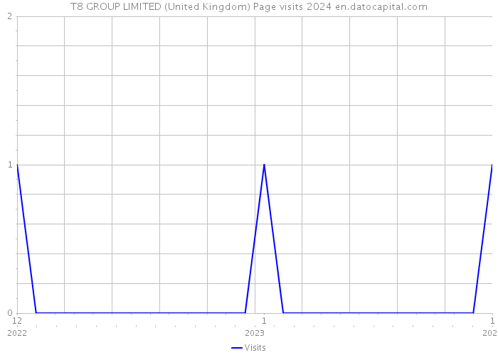 T8 GROUP LIMITED (United Kingdom) Page visits 2024 