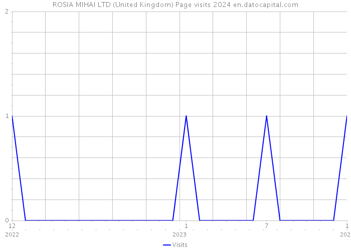 ROSIA MIHAI LTD (United Kingdom) Page visits 2024 