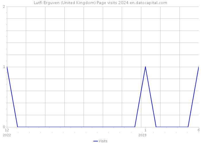 Lutfi Erguven (United Kingdom) Page visits 2024 