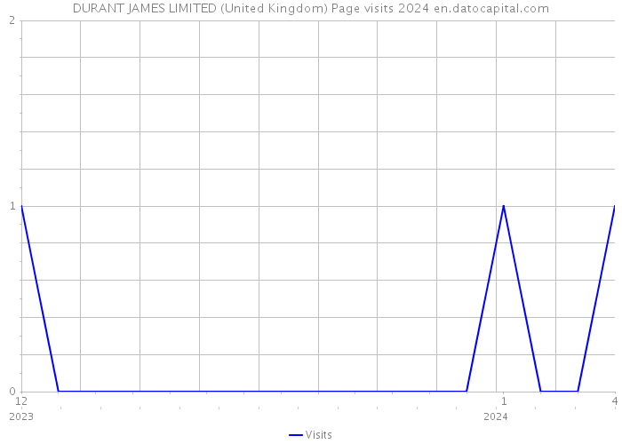 DURANT JAMES LIMITED (United Kingdom) Page visits 2024 