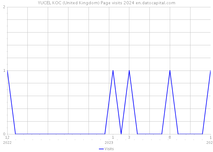 YUCEL KOC (United Kingdom) Page visits 2024 