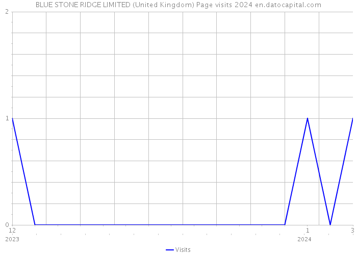 BLUE STONE RIDGE LIMITED (United Kingdom) Page visits 2024 