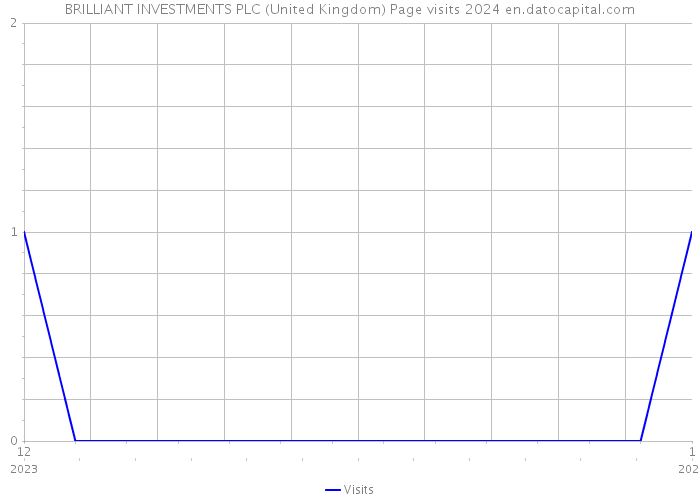 BRILLIANT INVESTMENTS PLC (United Kingdom) Page visits 2024 