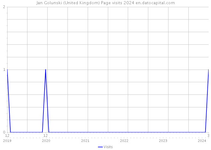 Jan Golunski (United Kingdom) Page visits 2024 