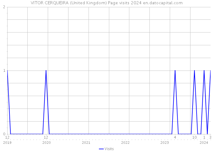 VITOR CERQUEIRA (United Kingdom) Page visits 2024 