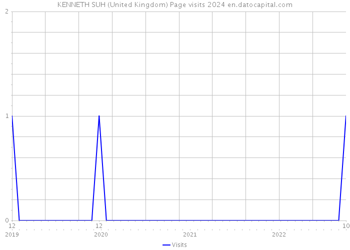 KENNETH SUH (United Kingdom) Page visits 2024 
