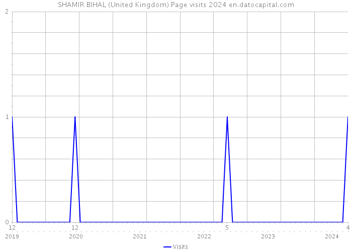 SHAMIR BIHAL (United Kingdom) Page visits 2024 