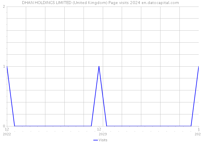 DHAN HOLDINGS LIMITED (United Kingdom) Page visits 2024 