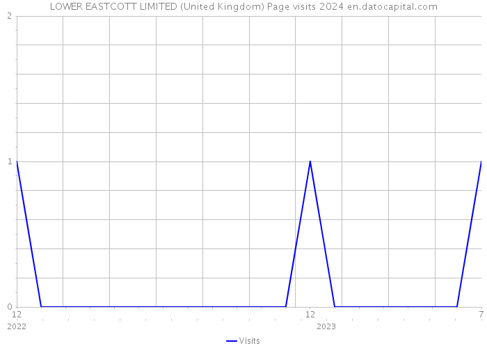 LOWER EASTCOTT LIMITED (United Kingdom) Page visits 2024 