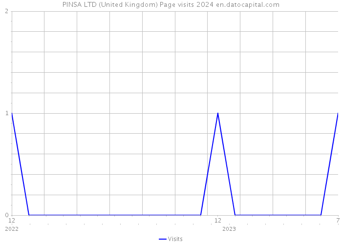 PINSA LTD (United Kingdom) Page visits 2024 