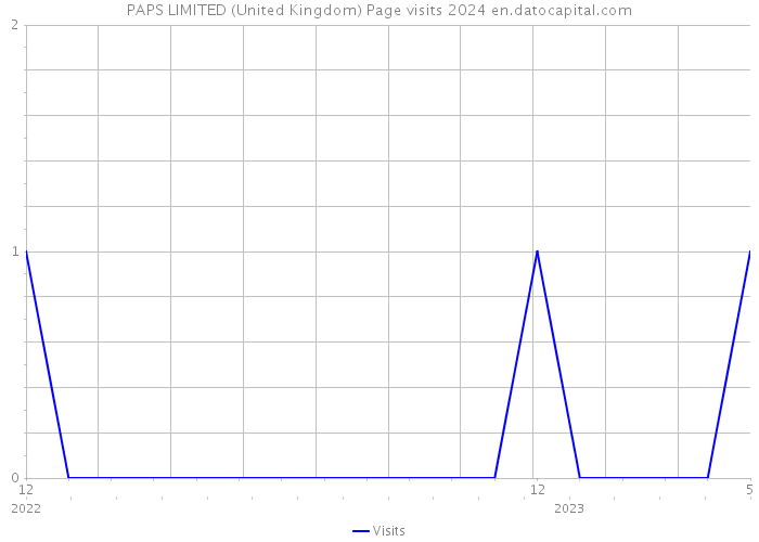 PAPS LIMITED (United Kingdom) Page visits 2024 
