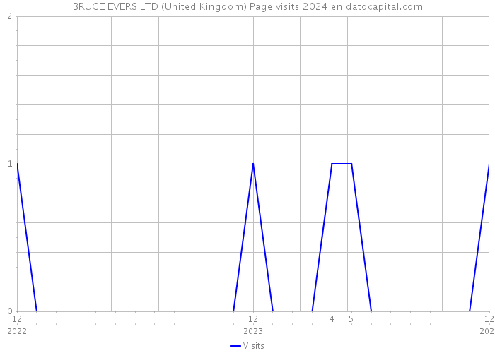 BRUCE EVERS LTD (United Kingdom) Page visits 2024 