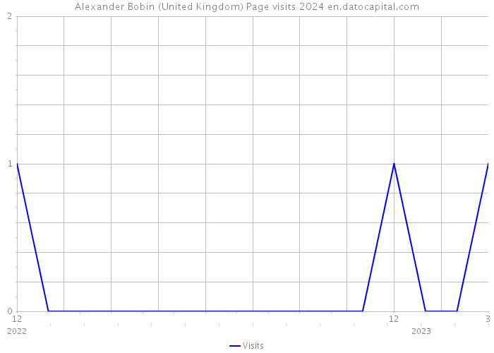 Alexander Bobin (United Kingdom) Page visits 2024 