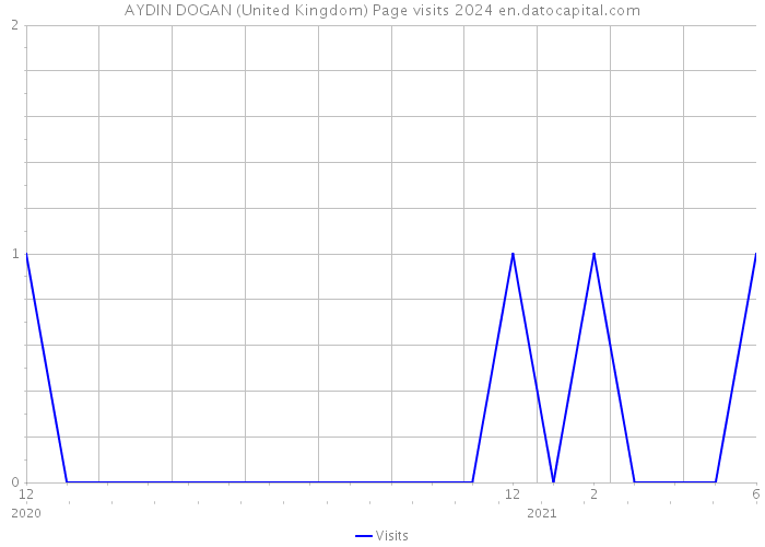 AYDIN DOGAN (United Kingdom) Page visits 2024 
