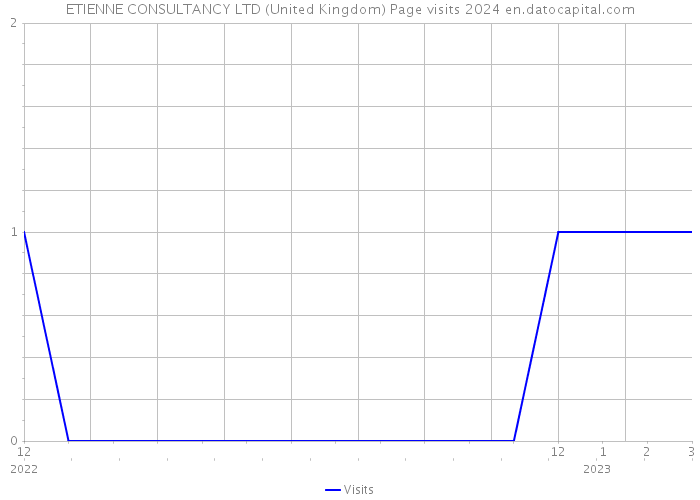 ETIENNE CONSULTANCY LTD (United Kingdom) Page visits 2024 