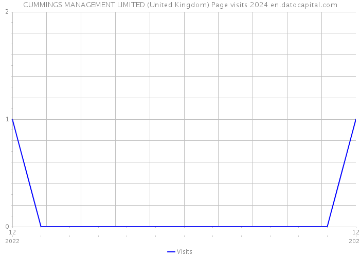CUMMINGS MANAGEMENT LIMITED (United Kingdom) Page visits 2024 