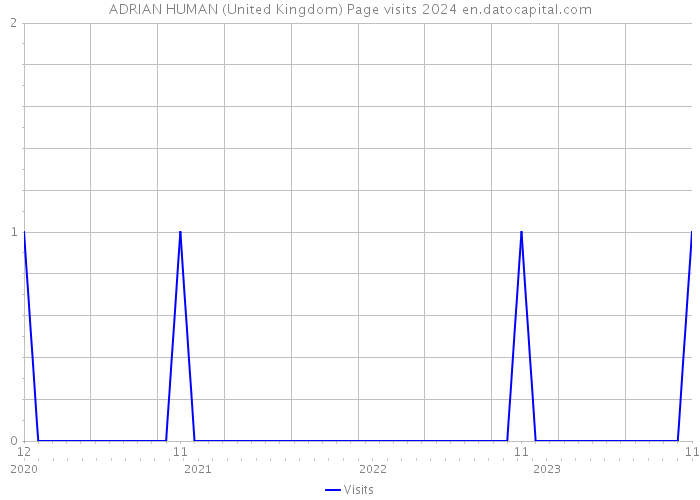 ADRIAN HUMAN (United Kingdom) Page visits 2024 