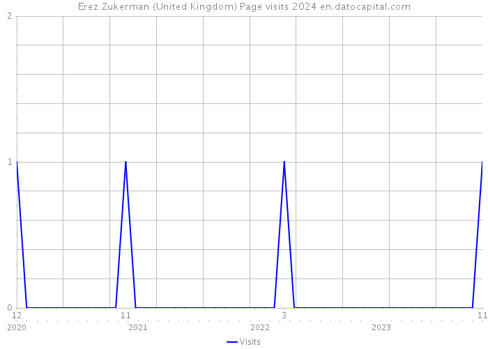 Erez Zukerman (United Kingdom) Page visits 2024 