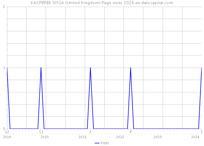 KACPEREK NYGA (United Kingdom) Page visits 2024 
