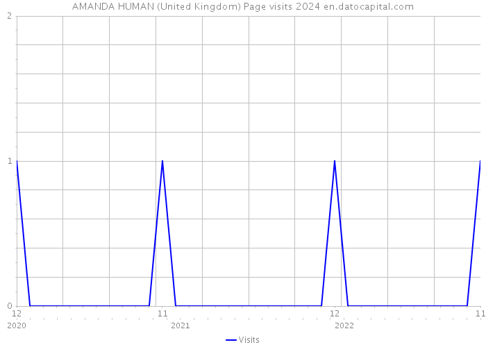 AMANDA HUMAN (United Kingdom) Page visits 2024 