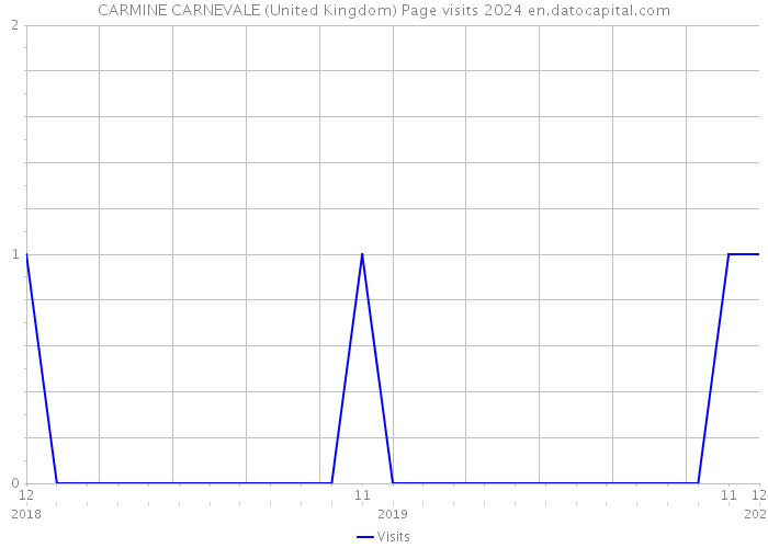 CARMINE CARNEVALE (United Kingdom) Page visits 2024 