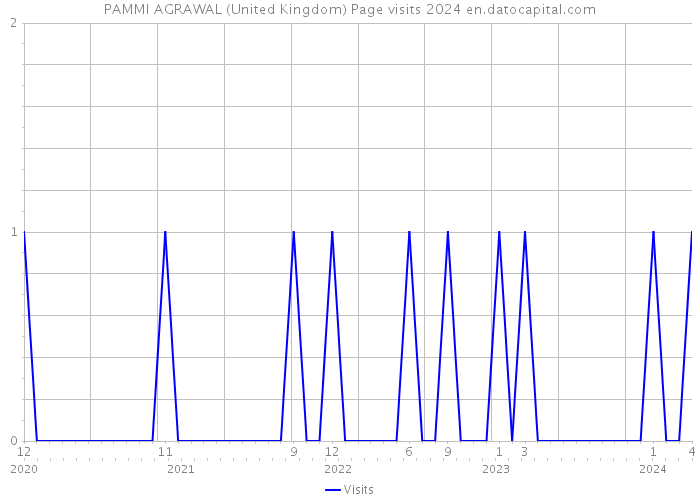 PAMMI AGRAWAL (United Kingdom) Page visits 2024 