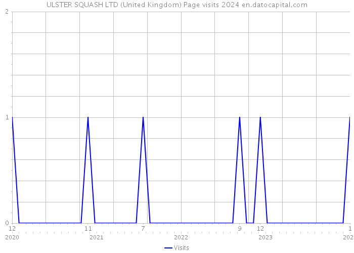 ULSTER SQUASH LTD (United Kingdom) Page visits 2024 