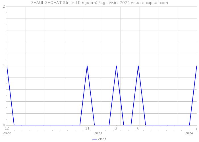 SHAUL SHOHAT (United Kingdom) Page visits 2024 