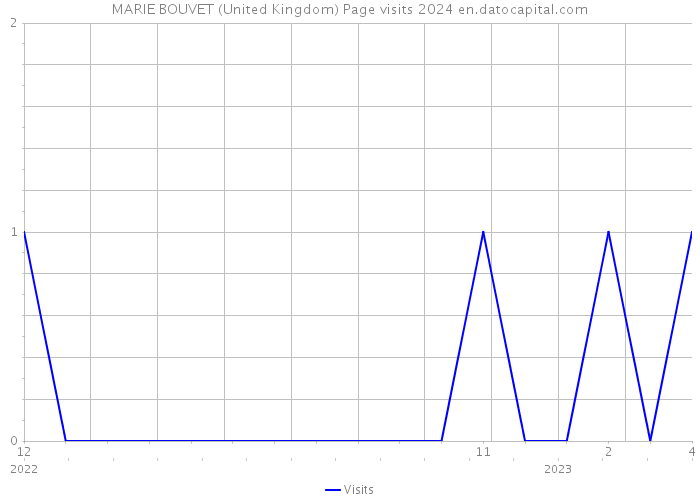 MARIE BOUVET (United Kingdom) Page visits 2024 