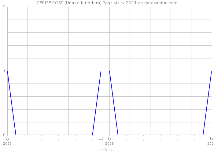 CERISE ROSS (United Kingdom) Page visits 2024 