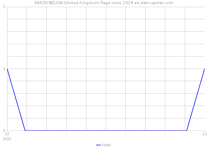 SIMON BELOW (United Kingdom) Page visits 2024 