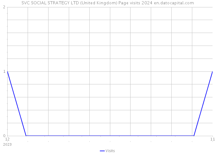 SVC SOCIAL STRATEGY LTD (United Kingdom) Page visits 2024 