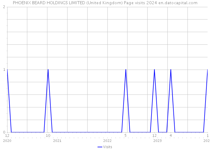 PHOENIX BEARD HOLDINGS LIMITED (United Kingdom) Page visits 2024 