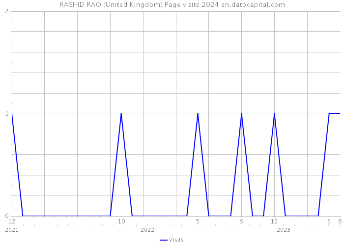 RASHID RAO (United Kingdom) Page visits 2024 