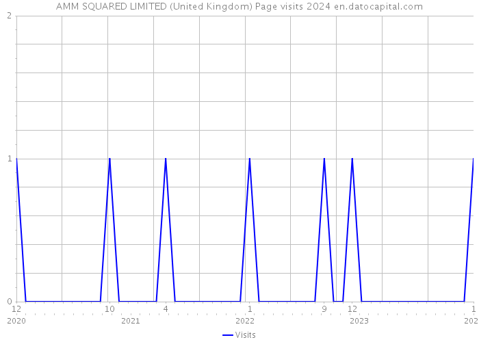 AMM SQUARED LIMITED (United Kingdom) Page visits 2024 