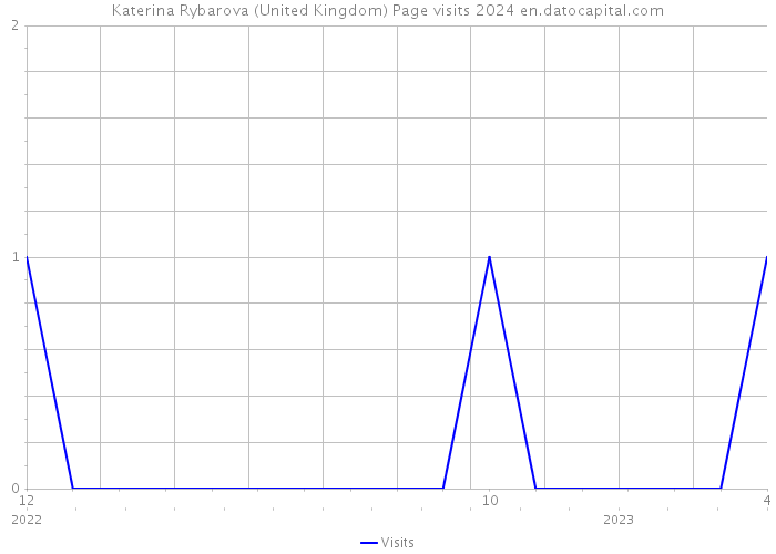 Katerina Rybarova (United Kingdom) Page visits 2024 