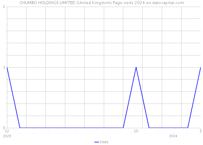 CHUMBO HOLDINGS LIMITED (United Kingdom) Page visits 2024 