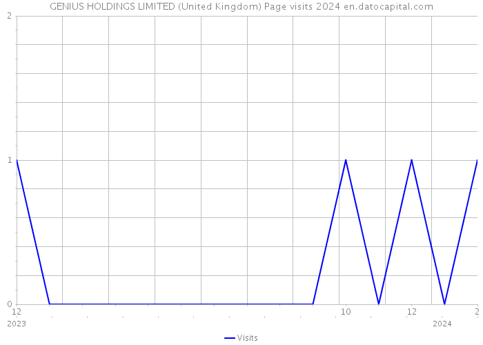 GENIUS HOLDINGS LIMITED (United Kingdom) Page visits 2024 