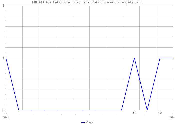 MIHAI HAJ (United Kingdom) Page visits 2024 