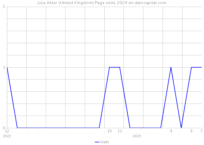 Liza Akter (United Kingdom) Page visits 2024 