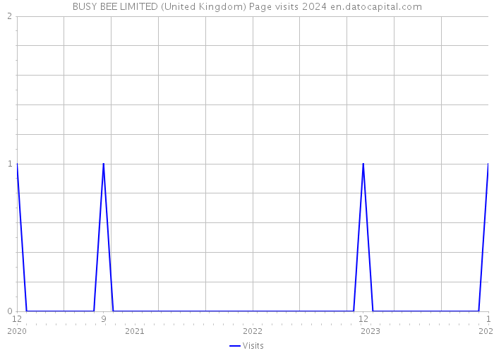 BUSY BEE LIMITED (United Kingdom) Page visits 2024 