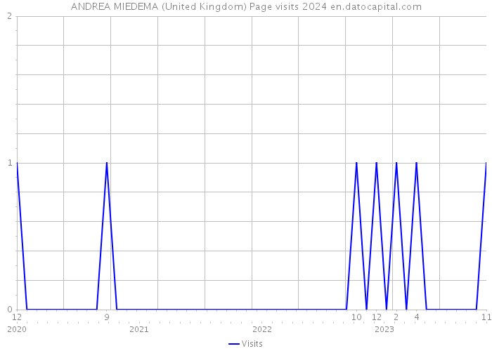 ANDREA MIEDEMA (United Kingdom) Page visits 2024 