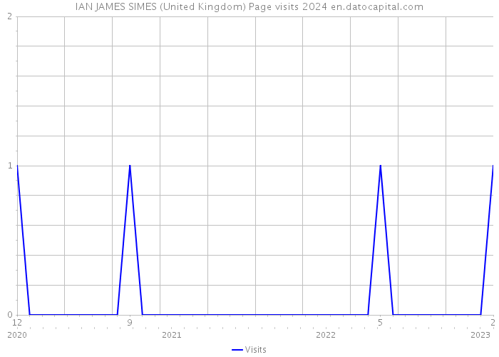 IAN JAMES SIMES (United Kingdom) Page visits 2024 