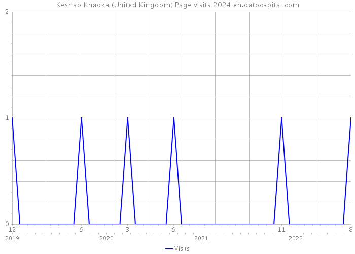 Keshab Khadka (United Kingdom) Page visits 2024 