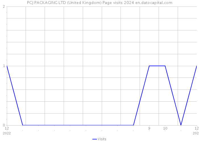 PCJ PACKAGING LTD (United Kingdom) Page visits 2024 