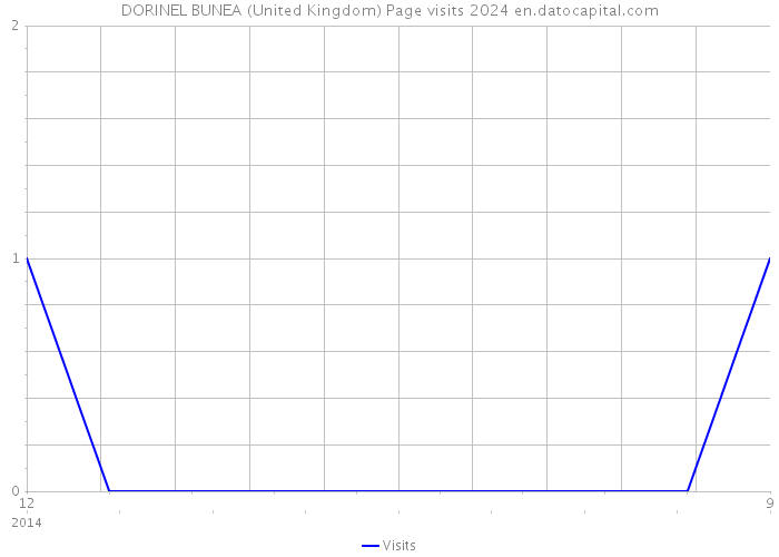 DORINEL BUNEA (United Kingdom) Page visits 2024 