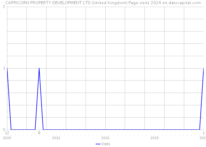 CAPRICORN PROPERTY DEVELOPMENT LTD (United Kingdom) Page visits 2024 