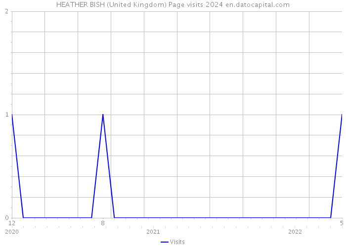 HEATHER BISH (United Kingdom) Page visits 2024 