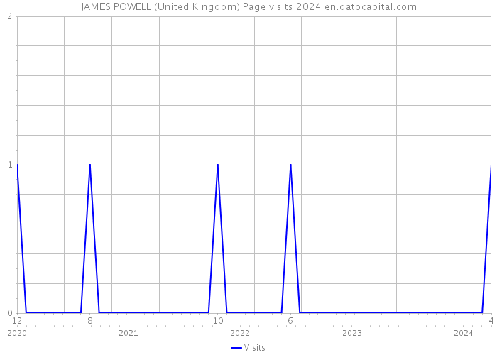 JAMES POWELL (United Kingdom) Page visits 2024 