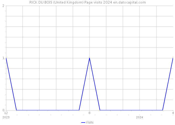 RICK DU BOIS (United Kingdom) Page visits 2024 